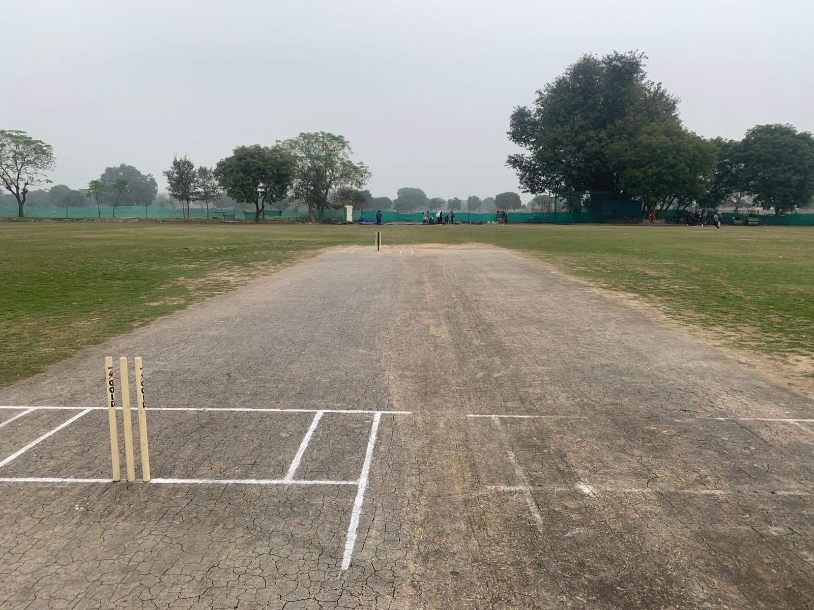 RDM Cricket Academy turf wicket